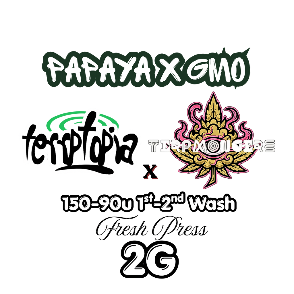 Papaya x GMO