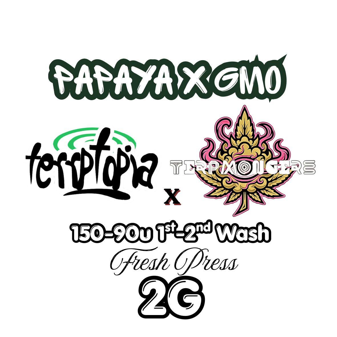 Papaya x GMO